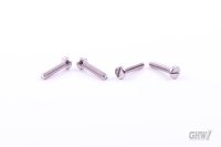 DIN 84 Cylinder head screw bare stainless steel A2