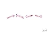 DIN 963 Countersunk head screw bare stainless steel A2